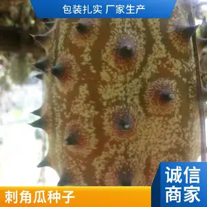 ��ι����� ���޴̽ǹ����� �̽ǹ��Ѻ��ι���ɫˮ����