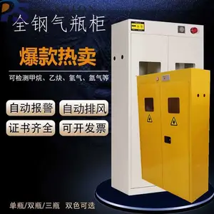 【厂家直供】双瓶气瓶柜,气瓶存放柜,深圳钢制气瓶柜厂家