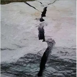��֦�� ��������� ��̬��������� ������Ʒ�۸�