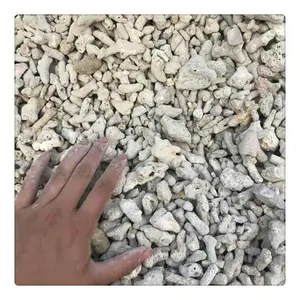 ������Ӧɺ��ɰ �쾰ɺ��ɰ ��ֳ��ɺ��ɰ
