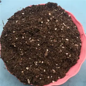 ���� �Ϲ��߲����� ��ֲ���л�Ӫ���� Ӫ���� ��ˮ����