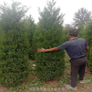 �����̻����� ������������μ���ܱ��������繩Ӧ��
