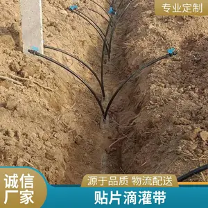 贴片式滴灌带 加厚材质 大棚蔬菜灌溉用 沁科源农业用具