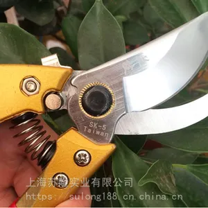 ��֦V8�ּ� SK5��̼�� ԰��ר�� ��԰�޼���֦���� ʡ����֦��
