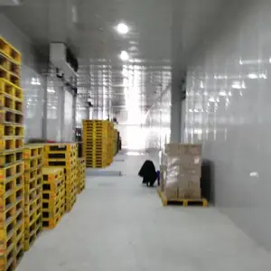�Ϻ�ʳƷ�����䶳����һ���������ɱ�ִ�����ʳƷ��ض�����ת�ִ���������