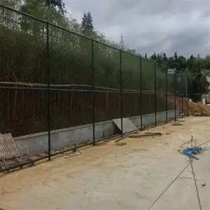 �Ϸ��˶�������Χ�� ����ʽ��ײ�� ī��ɫ������