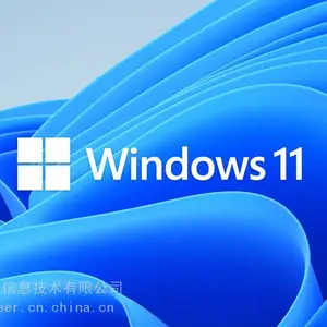 微软Windows 10,Windows 11,微软代理商,微软正版软件