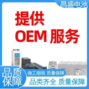 ��ʢ ��ʽ�������� ���ܵ�� OPzV2-100 ͨ�� �ź�ϵͳ���õ�Դ