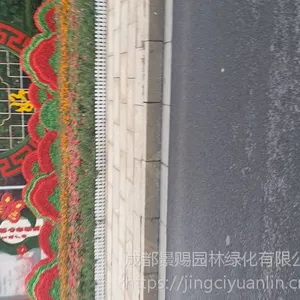 �㳡�ڼ�С�͵�������СƷ ������ɫֲ���̵����ͳ���