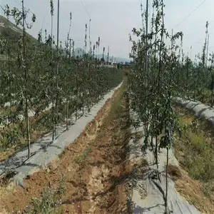120cm果树防草布价格_编织型防草地布的优缺点
