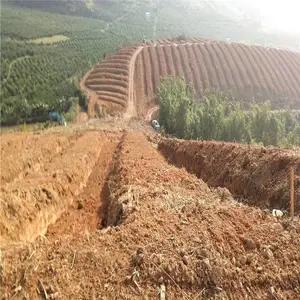 ����5 6 7���ֺ�Ƥ���������绶ӭ����