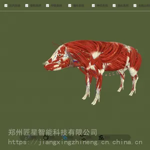 动物解剖数字化虚拟仿真系统