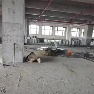 �Ƹ�����***����������Ч�ʿ쿭ʢ