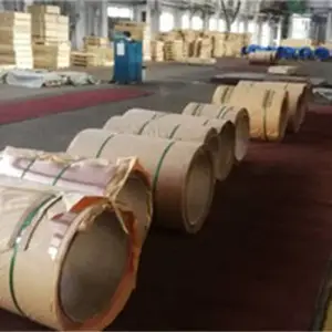 天津C1020紫铜带规格 洛阳璟铜铜业供应