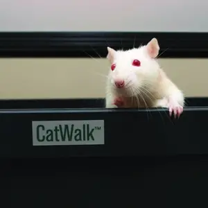 ���ﲽ̬����ϵͳ(CatWalk XT)