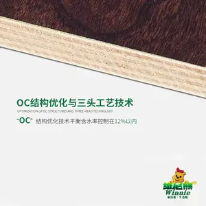 ����������̬�� ɽ��ά���������� 18��ʵľ����