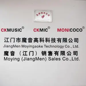 江门市魔音高科科技有限公司