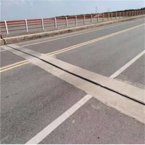 ��������ʵ�ཬ�� ������ ����Ǯһ��