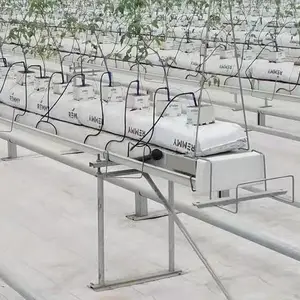 温室种植西红柿荷兰模式种植槽几字型