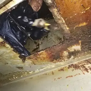 肇庆大型厨房油烟管道清洗提供油烟机清洗、风机、净化器油烟机/灶台清洗服务