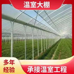 ��������һĶ �� ��С����̬���ߴ��� �����Ǽ� �п� ͨ��͸�� ZKXL-01