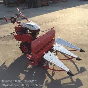 �̷��������ʵ����ո��/�ַ�ʽ�����ո��/��������֥���ɹ��