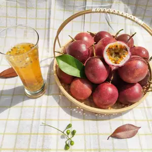 ���ʺ�רҵ��Ӧ��������Ѱ�ڰ������Ӧ����ͨ�����������ڸ�