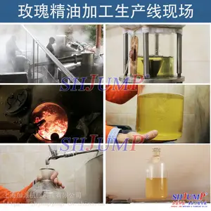 玫瑰花茶烘干设备 玫瑰花精油加工生产线 全套玫瑰植物提取设备