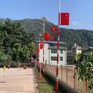 福华照明金豆牙刷多种灯头广西太阳能路灯生产厂家