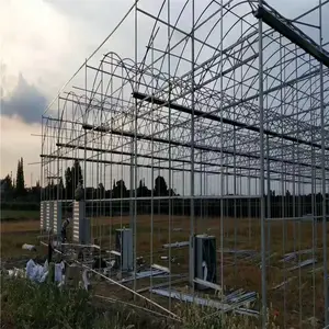 新余温室连体大棚哪里便宜 连栋大棚的质量有保证 丝瓜种植大棚 黄瓜薄膜大棚
