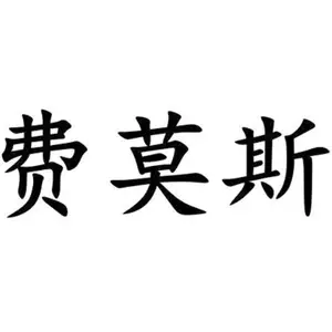 北京费莫斯科技有限责任公司