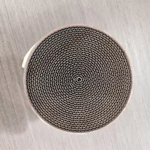 力特环保金属材质200目圆柱形贵金属催化剂低起燃温度转化***废气尾气催化燃烧处理工业催化剂
