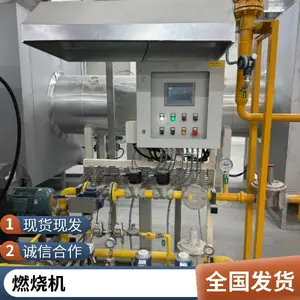 阳极炉煅烧炉天然气烧嘴 生物质气焦炉煤气工业燃烧器源头厂家岱鼎