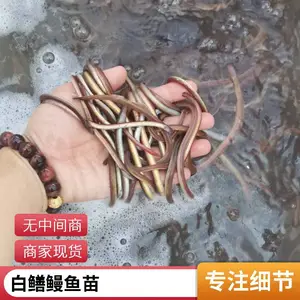 �������������� ��ˮ�������� ������ɻ�***ˮ������