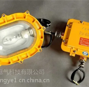 BFC8120LED内场防爆泛光灯
