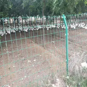 Ȧ�ظ����� ��ׯȦ�ظ����� Ȧ�ظ��������