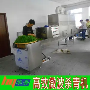 广东微波茶叶杀青机厂家惠州博罗清远连州茶叶加工河源隧道式微波杀青机
