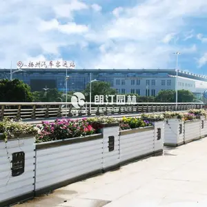 中央隔离花箱景观 隔离带绿化厂家|朗汀集团