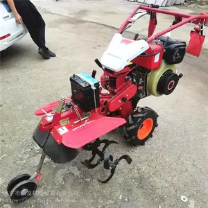 ��ʽ����С��ũ�������ڹ�����¢��ֽ���԰����������΢����