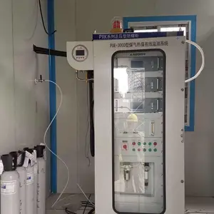 PUE-2000��¯ú����ֵ���ϵͳ�绯ѧ���м������ȸ������ȶ�