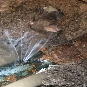 �Ϻ��ֶ�����ˮ��ά�޸�������ά��