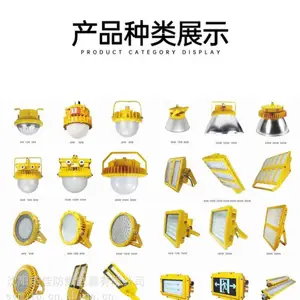 美佳LED防爆灯 化学车间dgs防爆灯 50W~300W定制隔爆灯