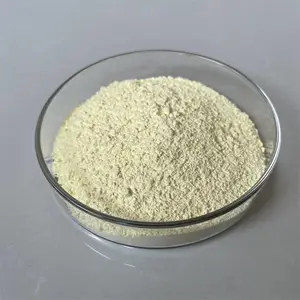�������� ������ 99.*** ���׶������� �׹���մ��� �ֻ�������
