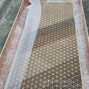 �ձ���ľ������ʵľǽ��ɣ�ð�����װ��װ�ΰ��դ��
