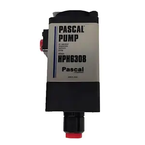 ����PASCAL������