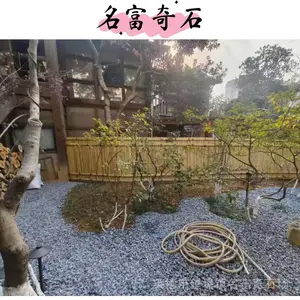 广东惠州后花园砾石铺垫地面 惠州砾石水池边围边 惠州砾石产地在哪