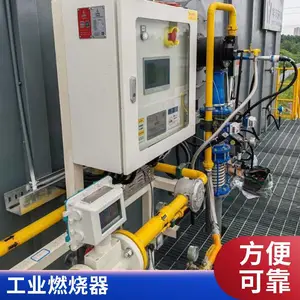 岱鼎燃烧 低氮燃烧机 天然气低氮燃烧器 厂家直供 进口质量