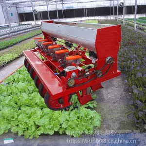 免间苗油菜精播机 拖拉机带一次两粒娃娃菜播种机 苜蓿精播机厂家