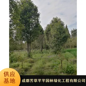 10�����ͺ�������_����������_԰��ȫ����������Ӧ
