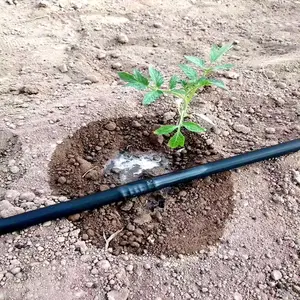 �����ι�ˮ��һ�廯��Ȳ��� ��ˮ��ȵιܴ� ԰�ֵع��